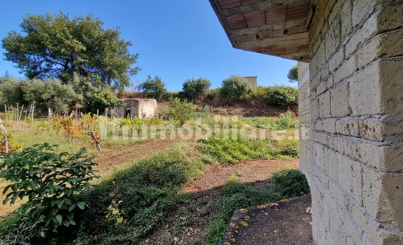 Villa unifamiliare via Trento, Falciano del Massico - foto 5