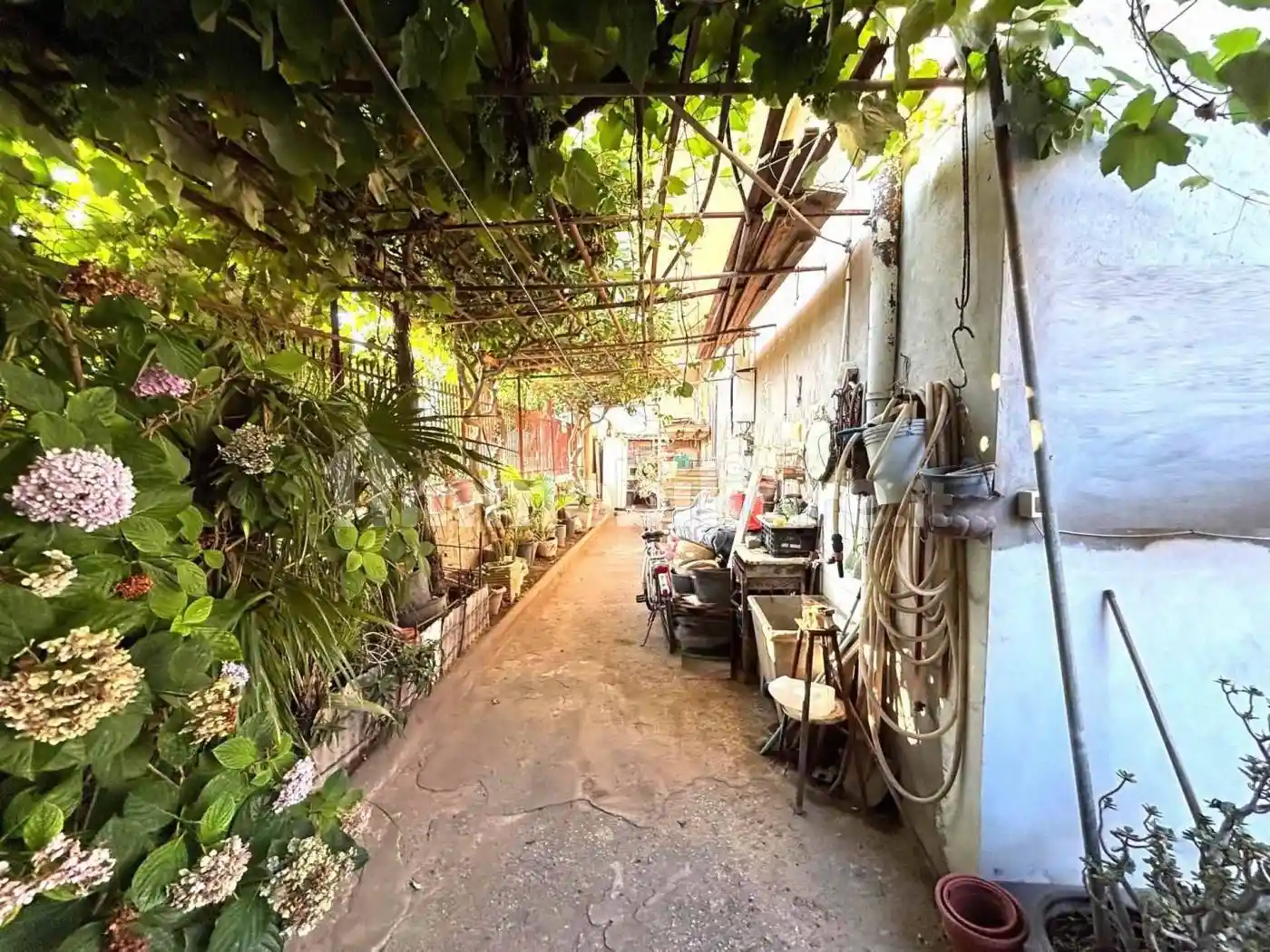 Palazzo - Edificio - foto 2