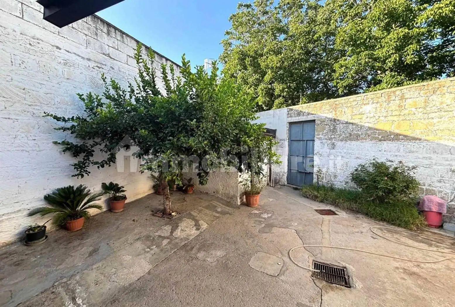 Terratetto unifamiliare via San Martino a Valle, Falciano del Massico - foto 4