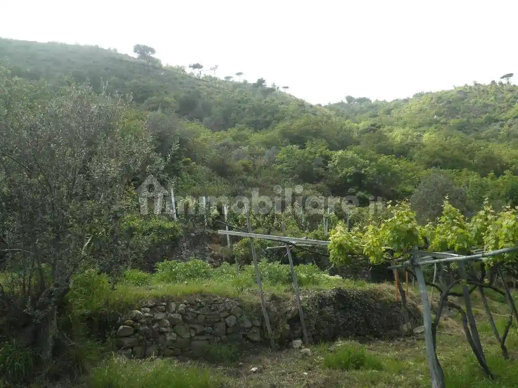 Rustico, da ristrutturare, 160 m², Via Solva, Santa Croce, Alassio - foto 2
