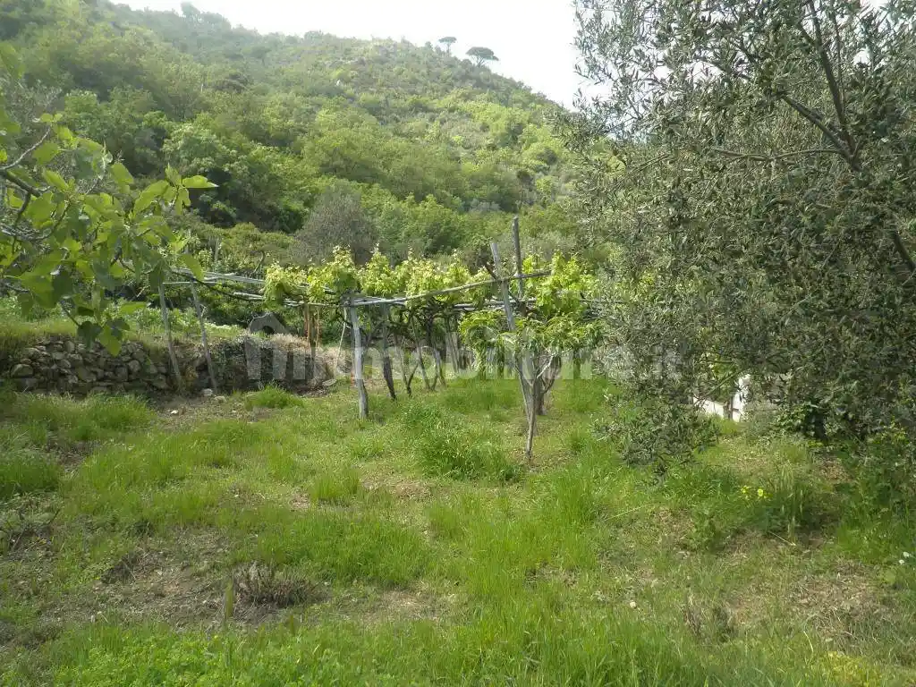 Rustico, da ristrutturare, 160 m², Via Solva, Santa Croce, Alassio - foto 4