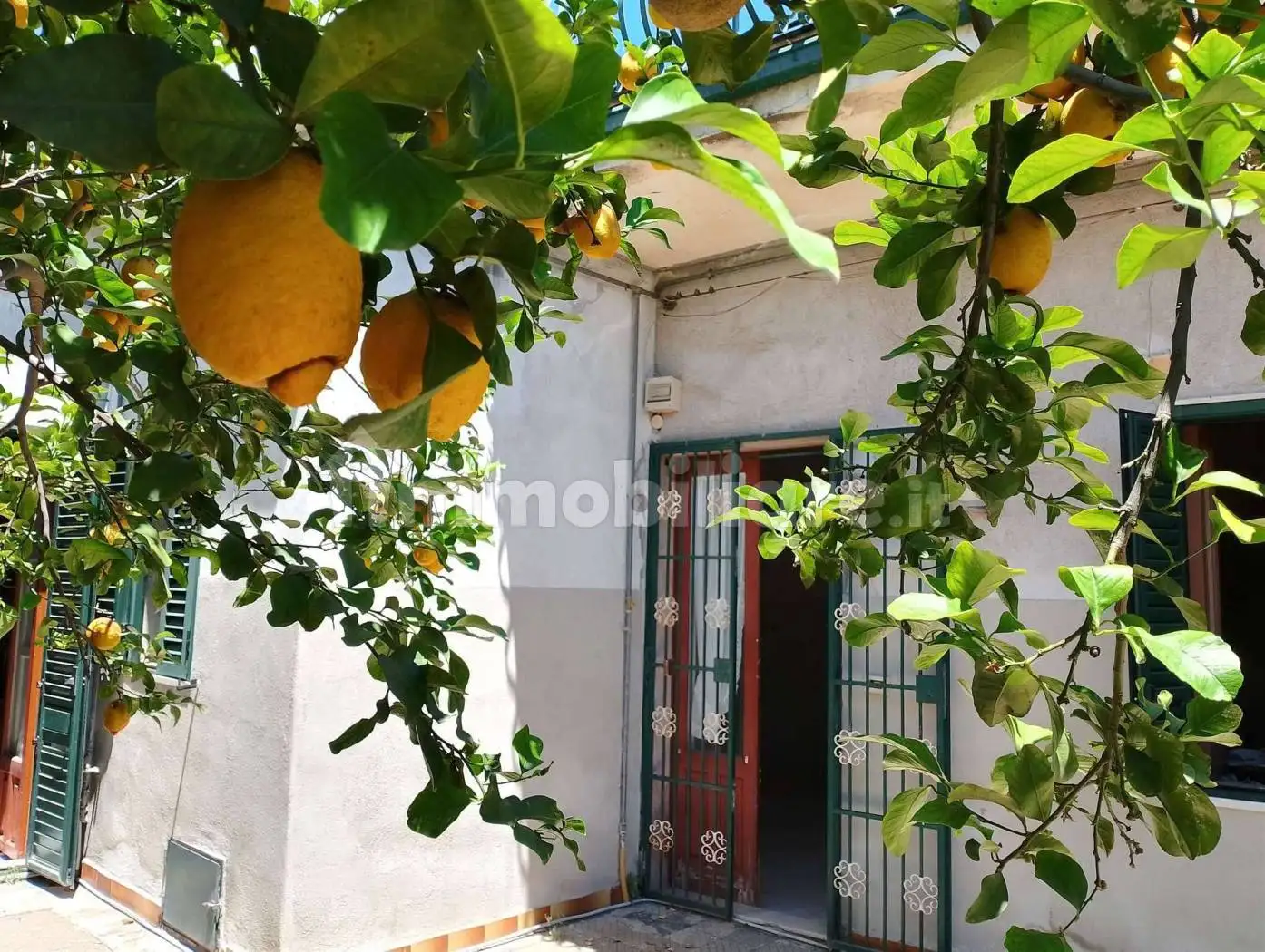 Casa indipendente in vendita a Viagrande