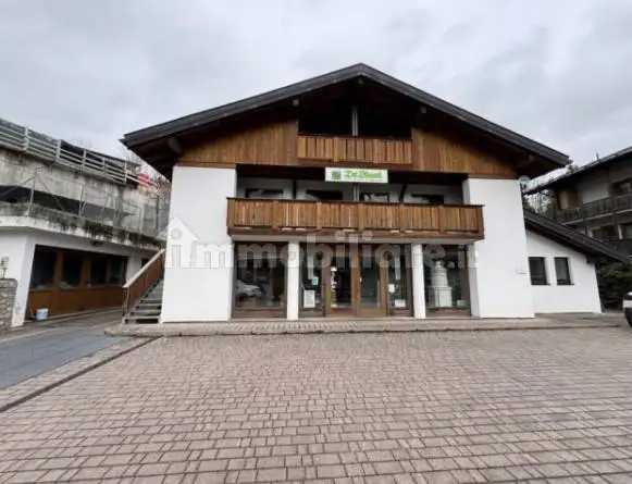 Palazzo - Stabile in asta a Pieve di Cadore