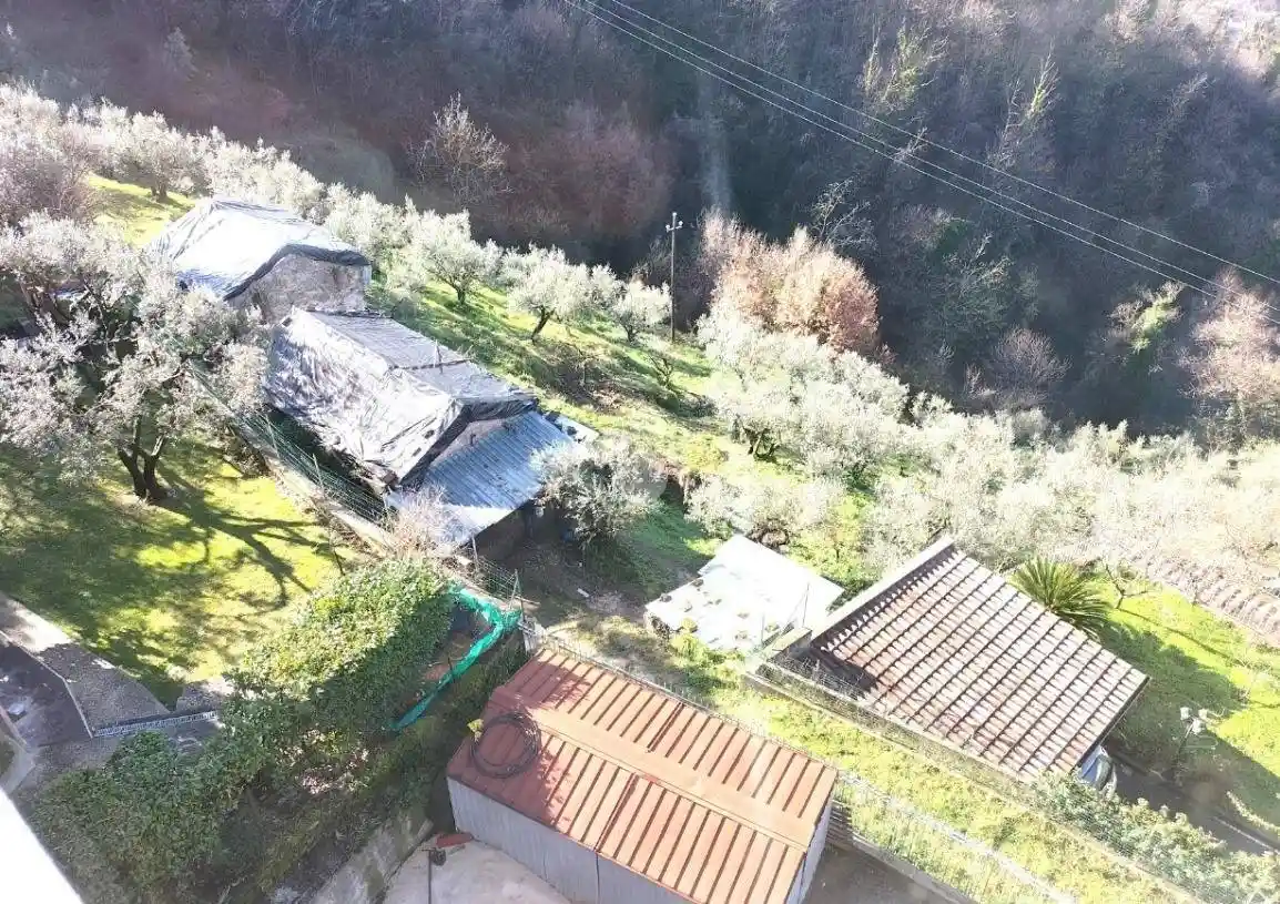 Rustico - Casale - foto 5