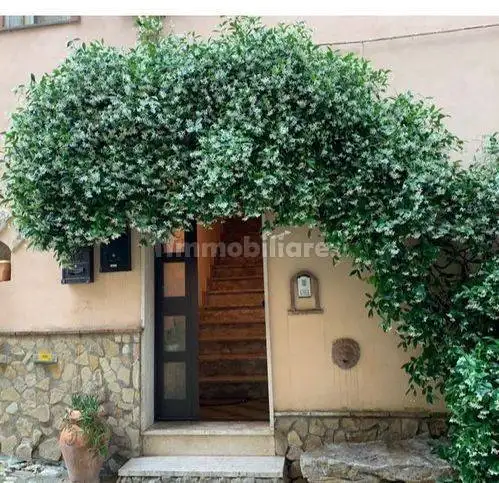 Appartamento in vendita a Monte Romano