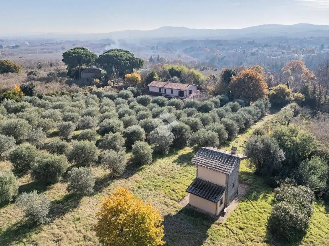 Villa unifamiliare Località Paliano, Capranica - foto 4