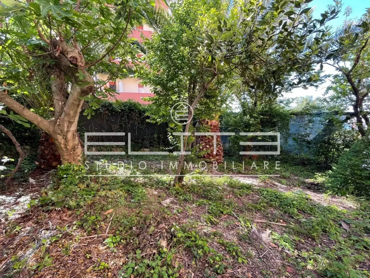 Appartamento in vendita a Falconara Marittima