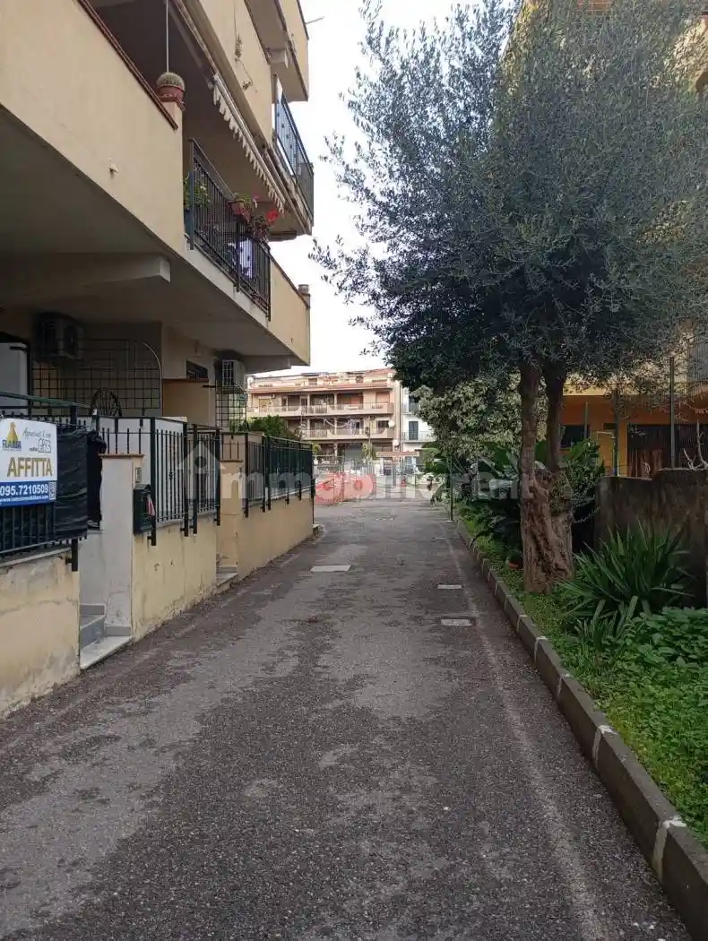 Palazzo - Edificio - foto 4