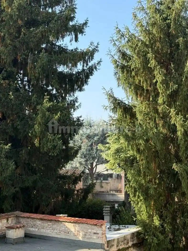 Quadrilocale ottimo stato, primo piano, Santo, Padova - foto 4