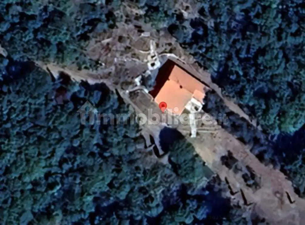 Villa in asta a Scansano