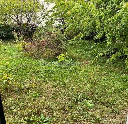 Villa unifamiliare, da ristrutturare, 500 m², Centro, Arquata Scrivia - foto 2