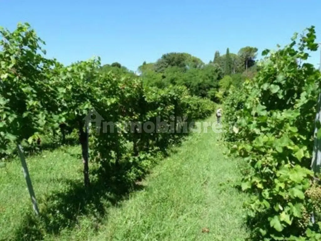 Appartamento in asta a Colle Umberto