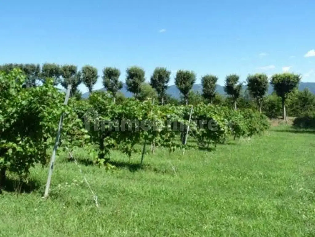 Appartamento all'asta via Bonemi   3 - 31014 Colle Umberto 3, Colle Umberto - foto 4