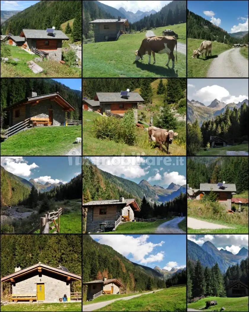 Rustico - Casale in affitto a Corteno Golgi