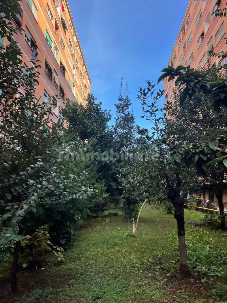 Trilocale via Pescaglia 14, Magliana, Roma - foto 3