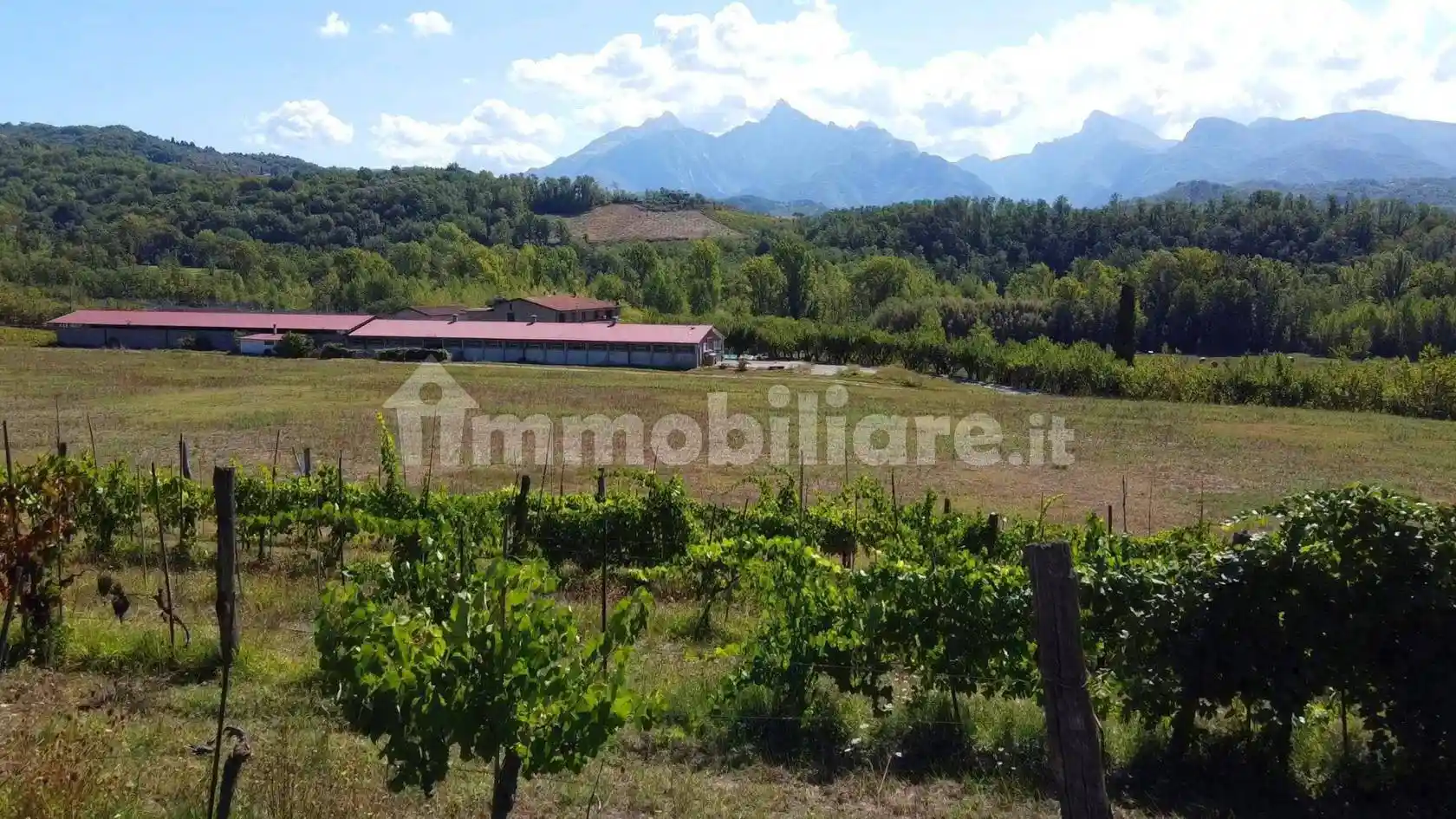 Rustico - Casale in vendita a Fivizzano