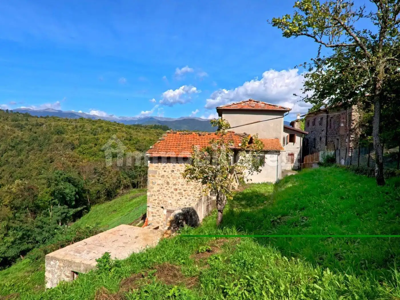 Rustico - Casale in vendita a Minucciano
