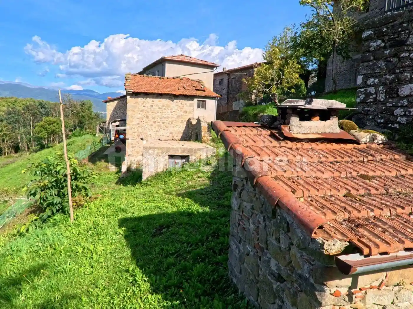 Rustico - Casale - foto 5