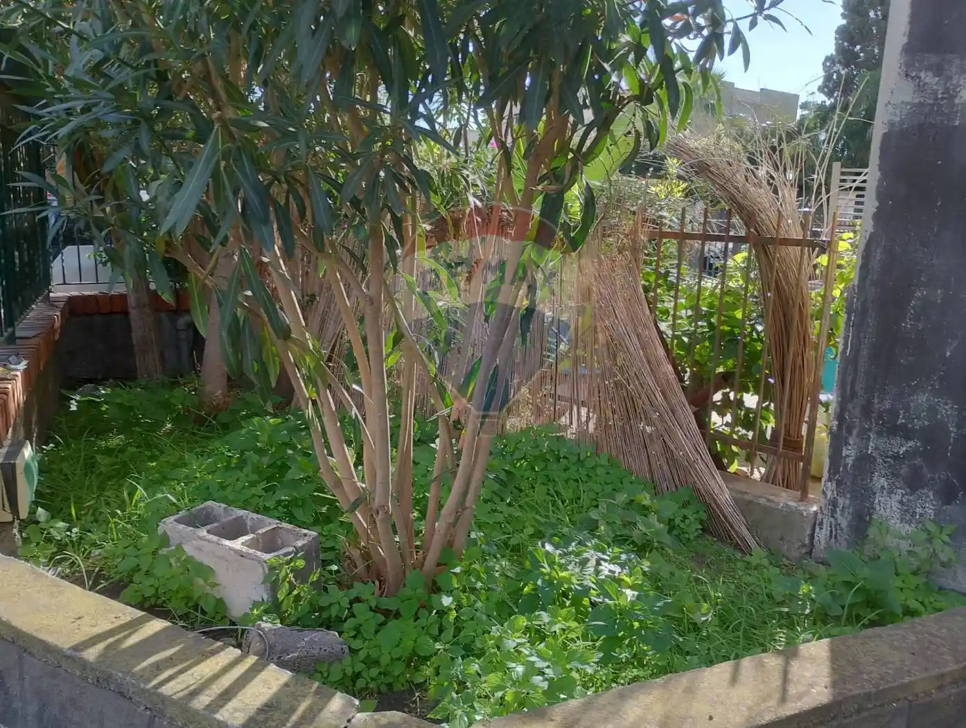 Appartamento via Livorno 77, Centro, Aci Castello - foto 5