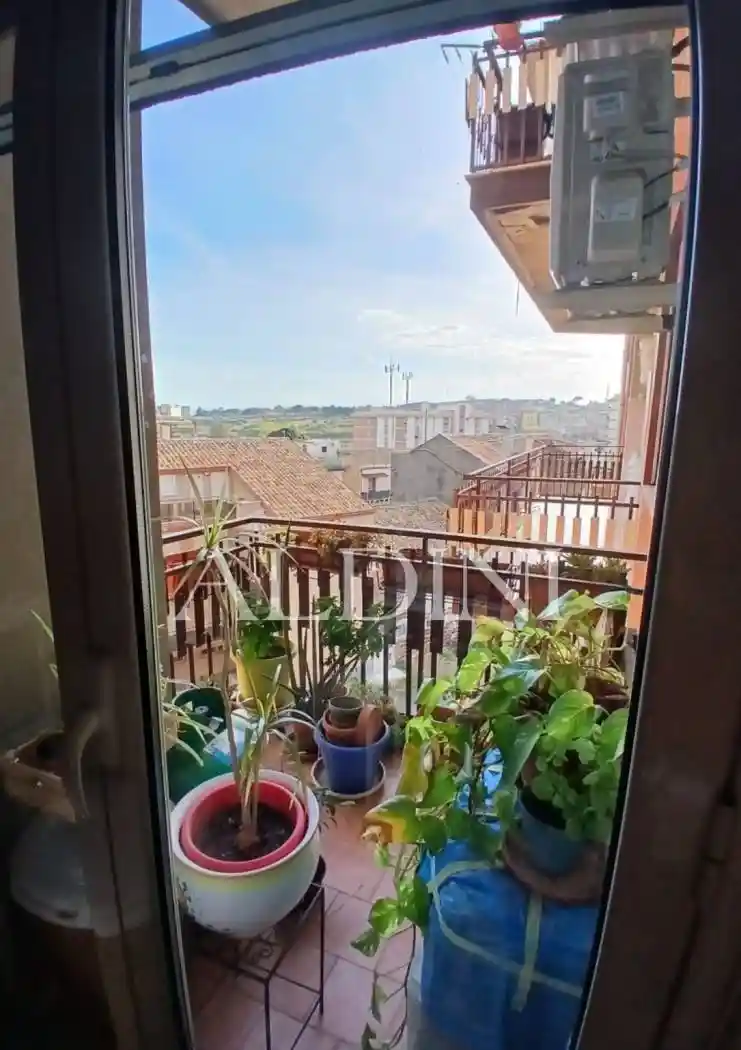 Trilocale corso dei Mille, Palermo - Indipendenza, Catania - foto 3