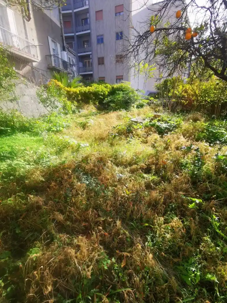 Casale via 20 Settembre, Centro Storico, Catanzaro - foto 4