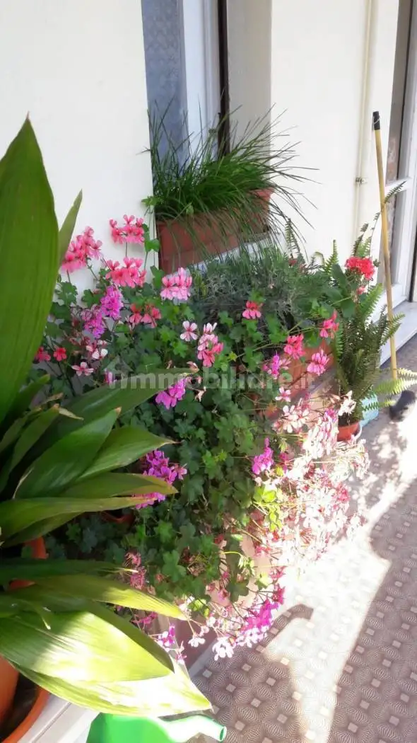 Bilocale piazzale 2 Giugno, San Rocco, Ponte di Vexina, Verzemma, Collodari, Recco - foto 2