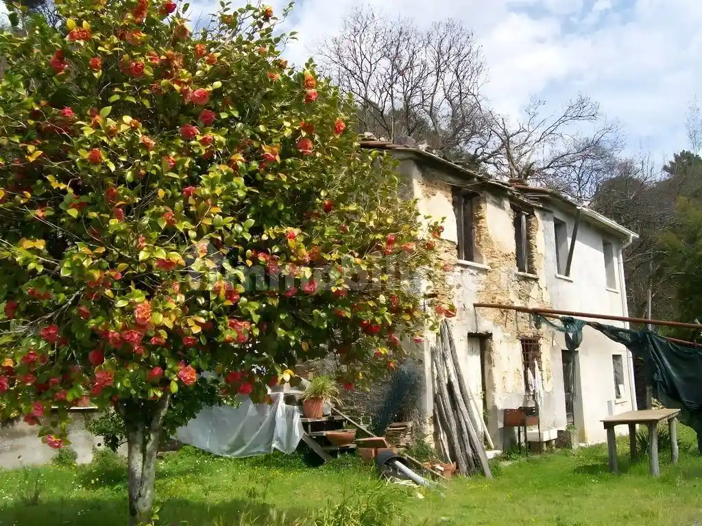 Rustico - Casale - foto 2