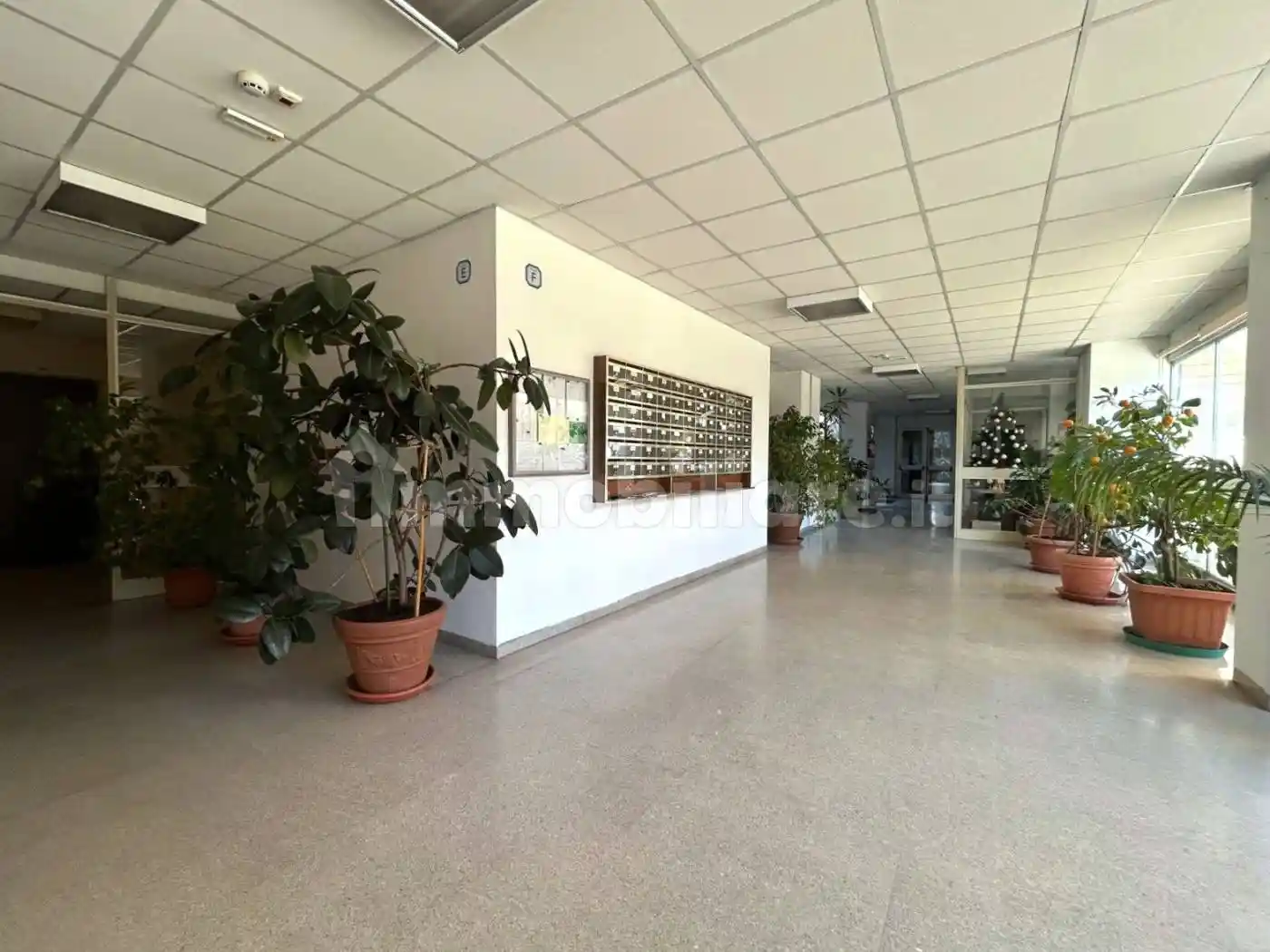 Appartamento via Brigata Padova, San Giuseppe - San Giovanni, Padova - foto 2