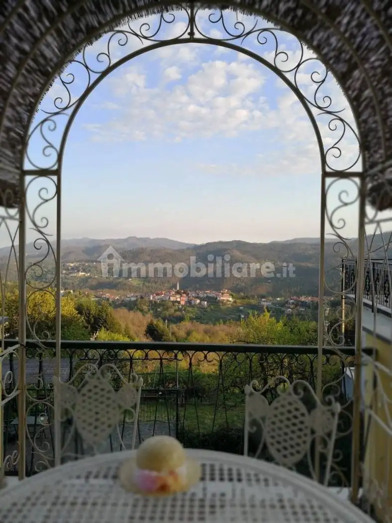 Casale via Gianelli 58, Castello, Carro - foto 5