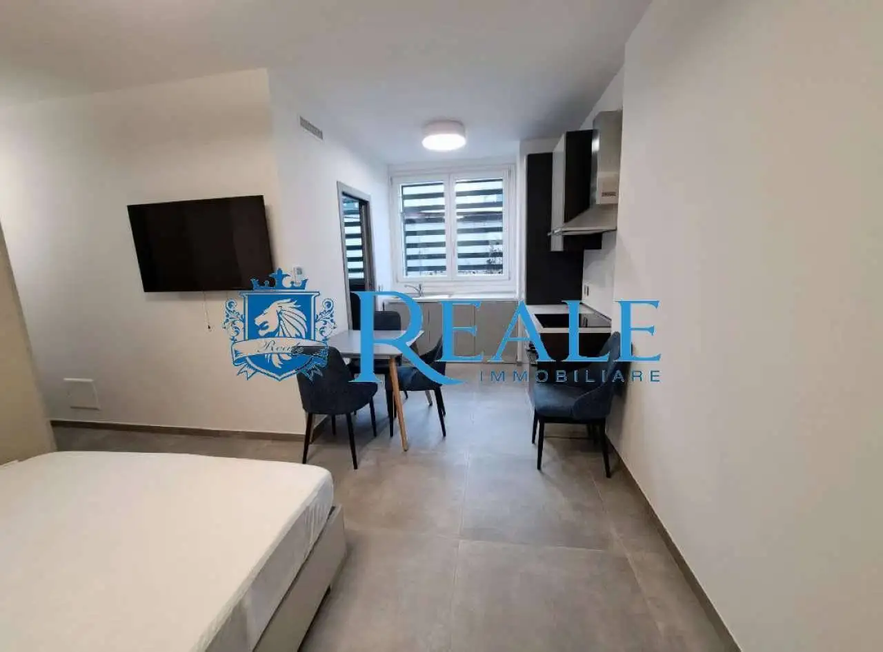 Monolocale via Petrolo Litta 1, Bareggio - foto 4