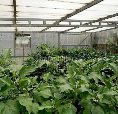 Villa unifamiliare, buono stato, 220 m², Campagna - foto 4