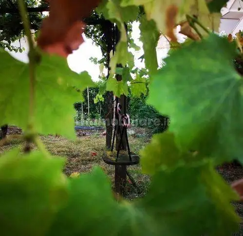 Appartamento in vendita a San Cipriano Picentino