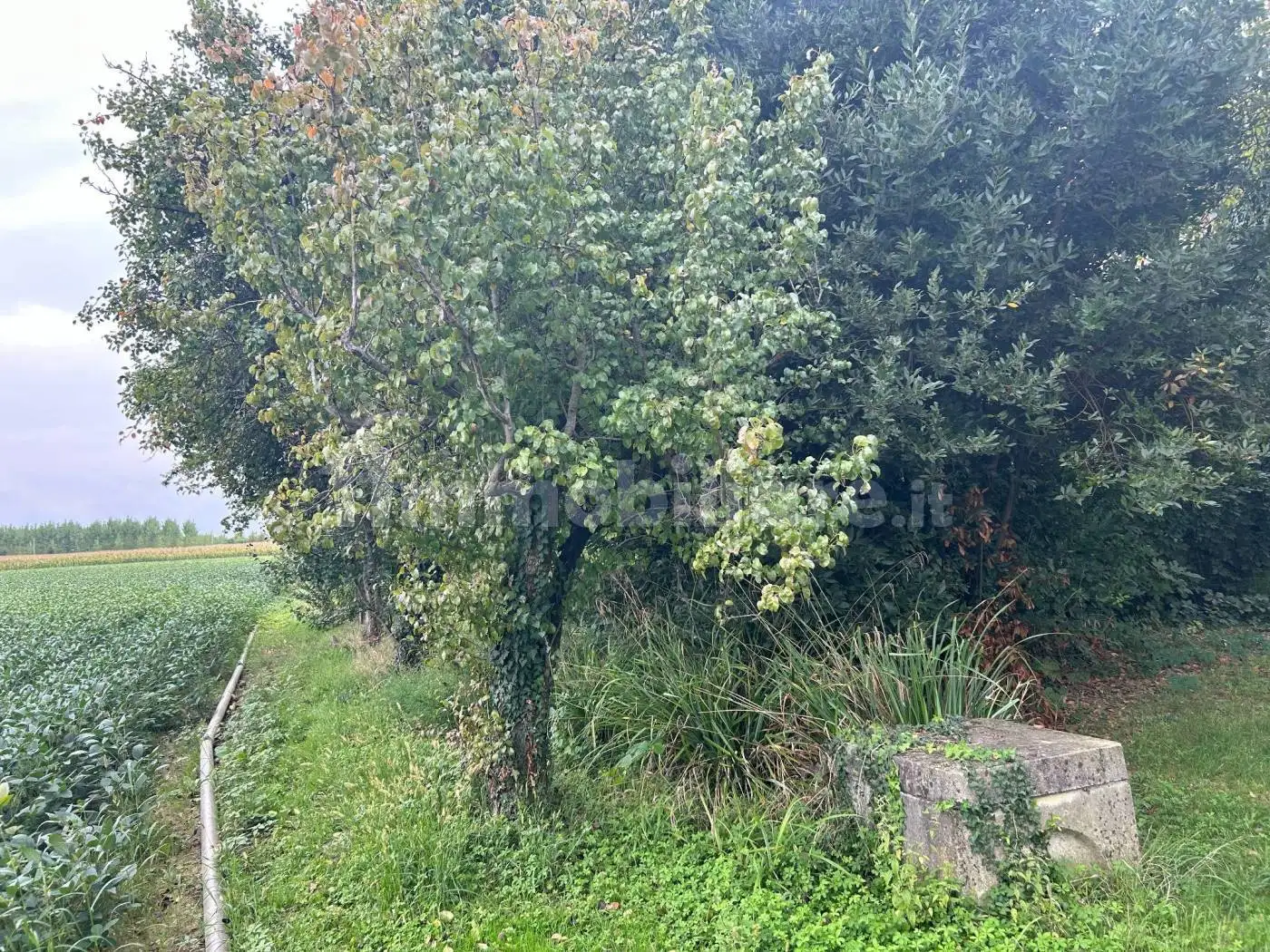 Villa in vendita a Treviso