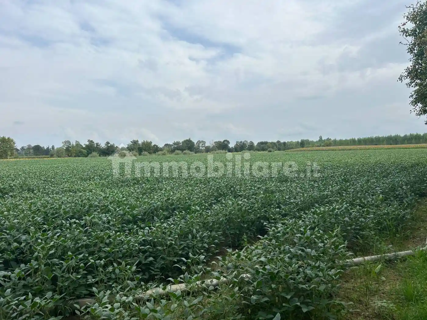Villa unifamiliare via Riccardo Selvatico, San Lazzaro - Ghirada, Treviso - foto 2