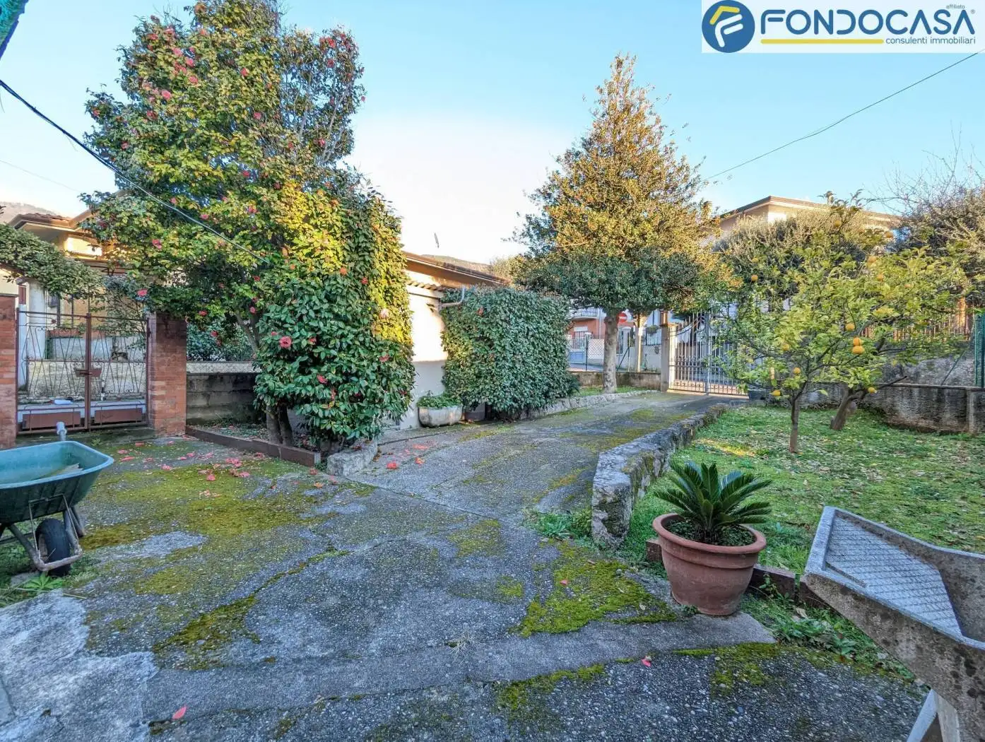 Rustico via Debbia Vecchia, Debbia, Cervaiolo, Montignoso - foto 2