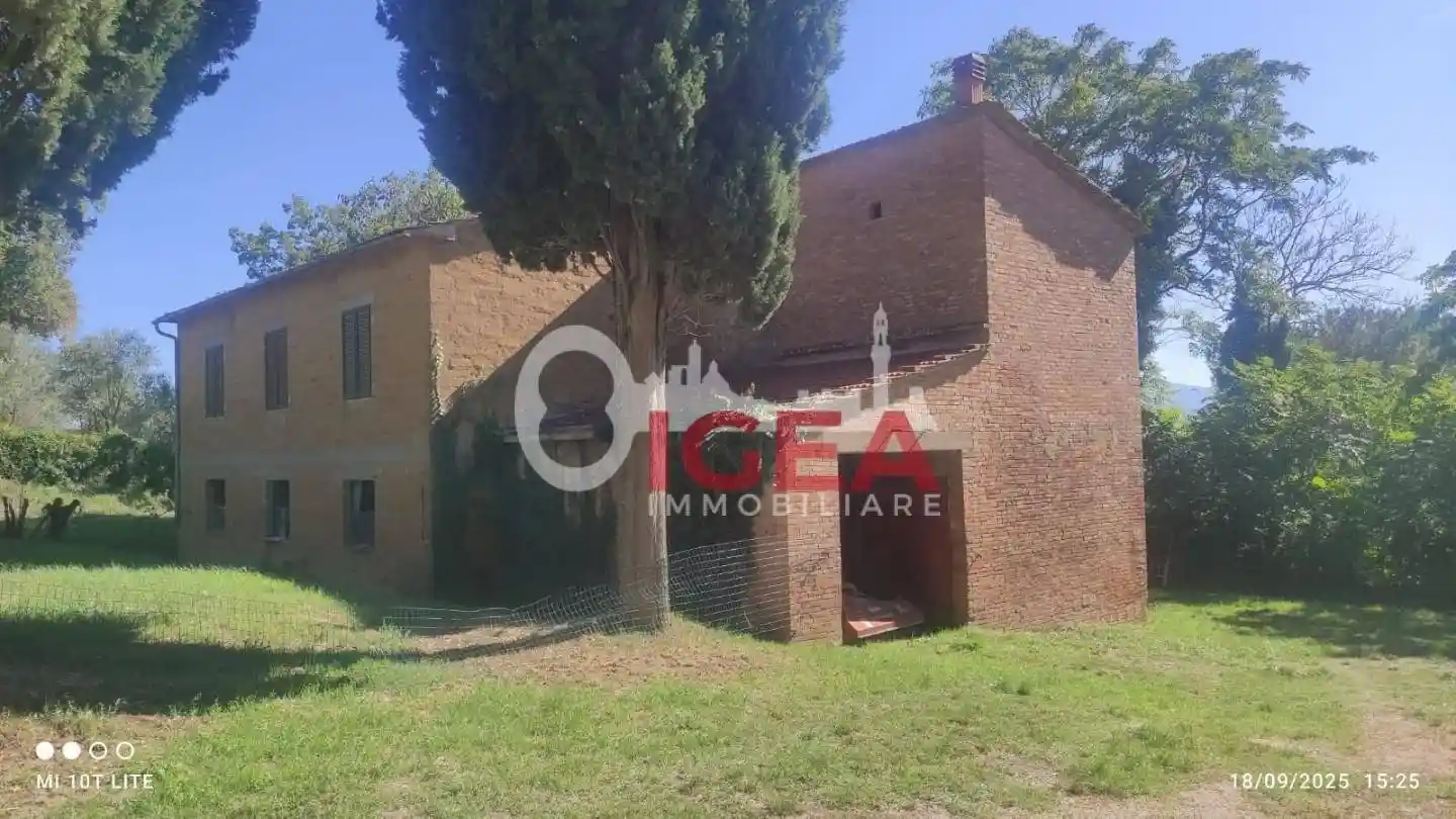 Rustico - Casale - foto 4