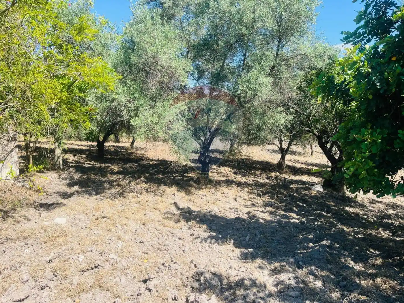 Rustico Contrada Montesano Piano Pozzi - Vaccaria, Piano Pozzi, Modica - foto 4