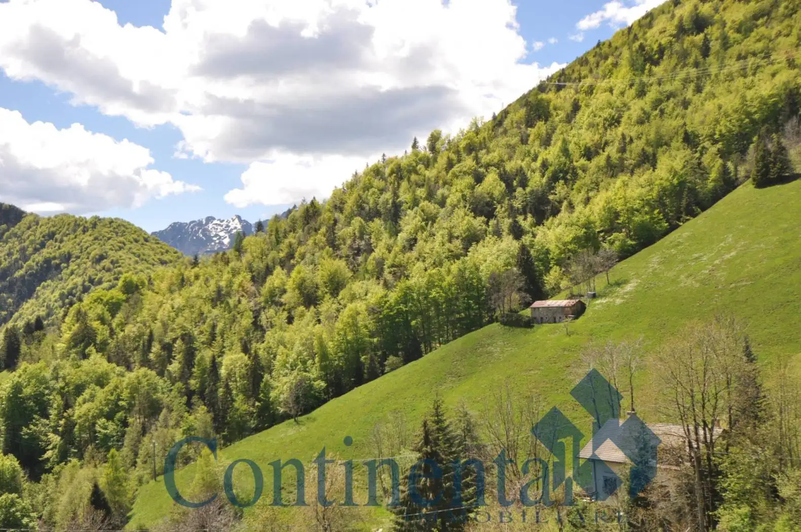 Rustico - Casale in vendita a Cusio