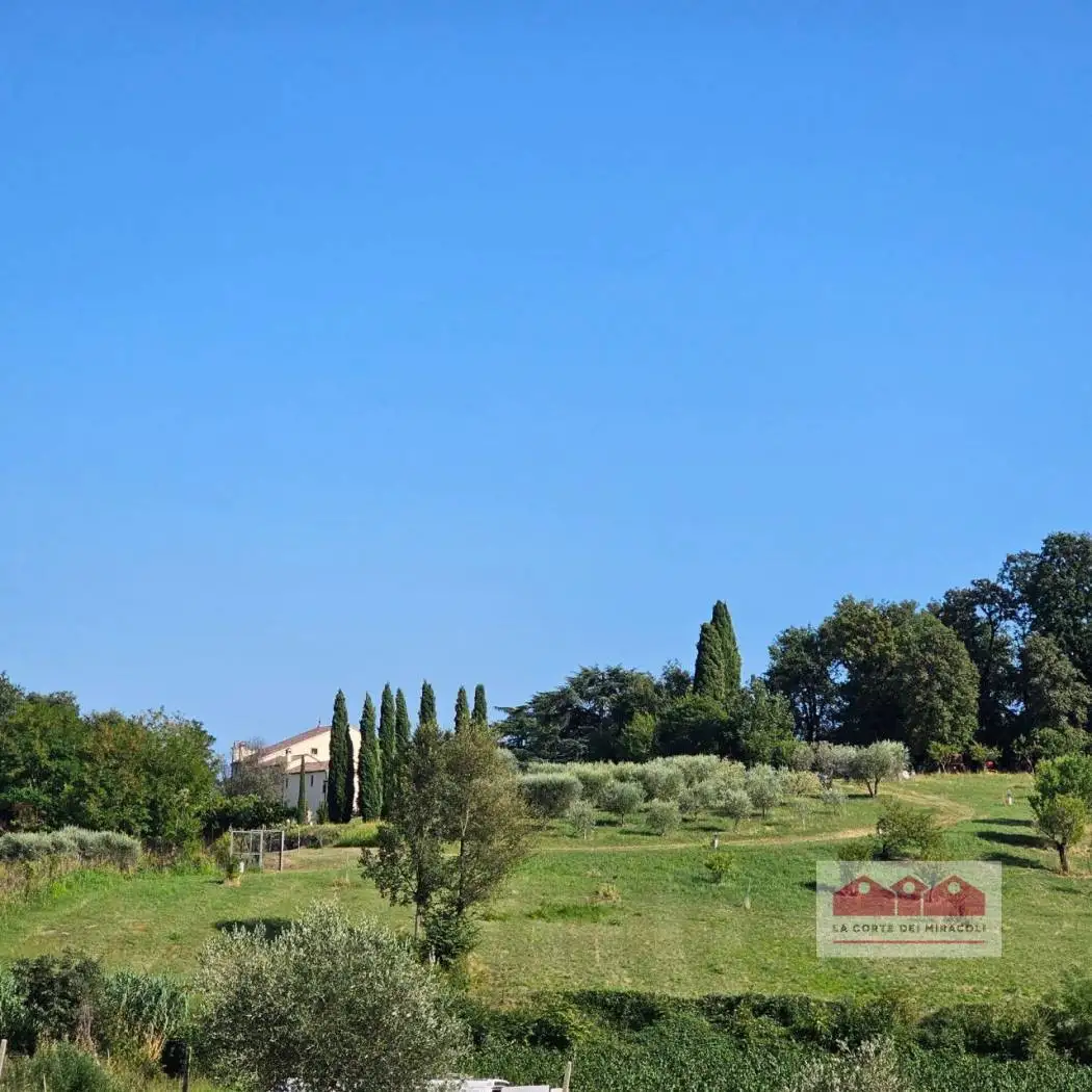 Casa indipendente in affitto a Longare