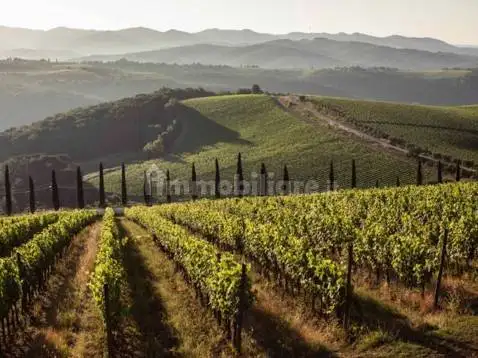 Casale Strada Poggio al Vento, Barberino Tavarnelle - foto 3