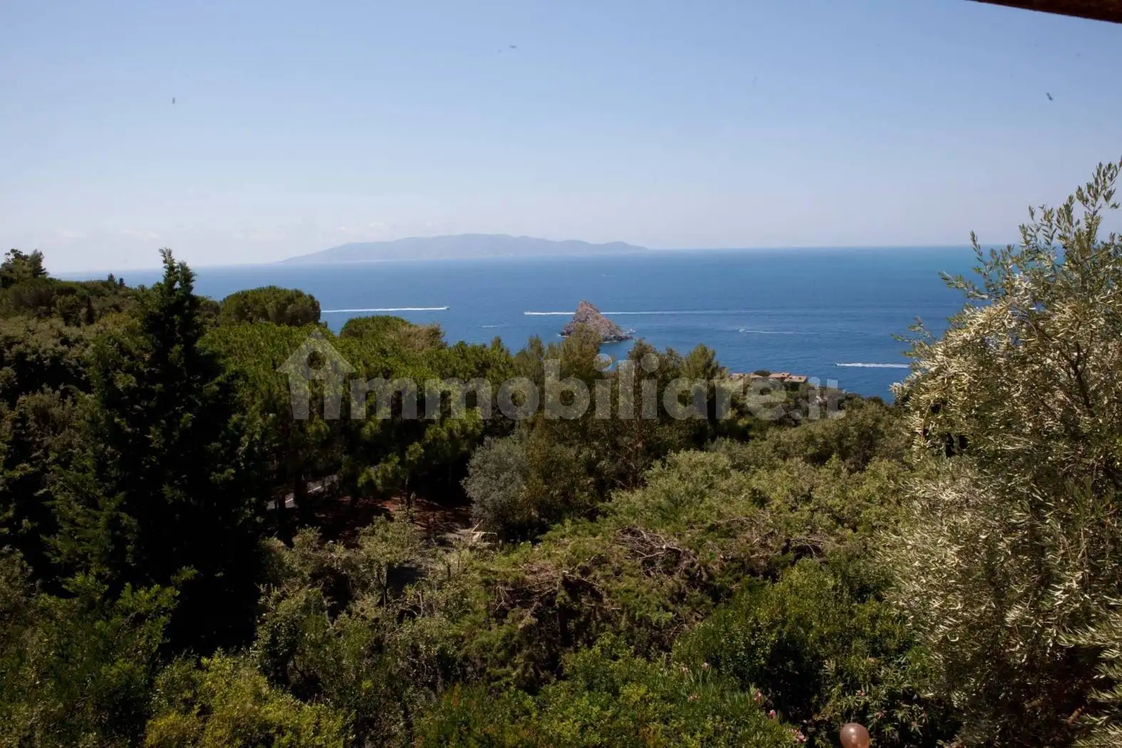 Quadrilocale Località Calamoresca, Porto Santo Stefano, Monte Argentario - foto 5