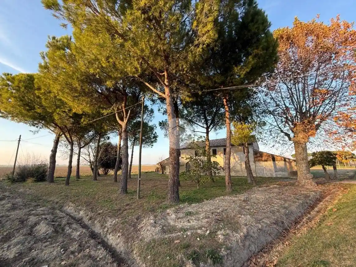 Rustico via Camillo Torres 170, Castiglione, Ravenna - foto 5