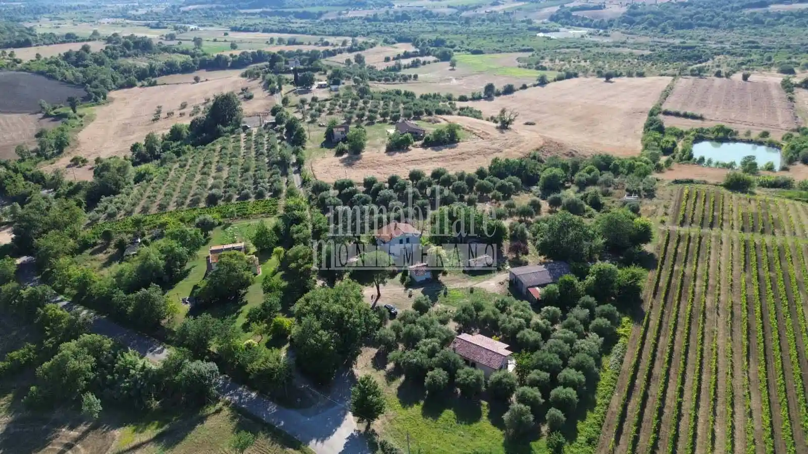 Rustico - Casale - foto 5