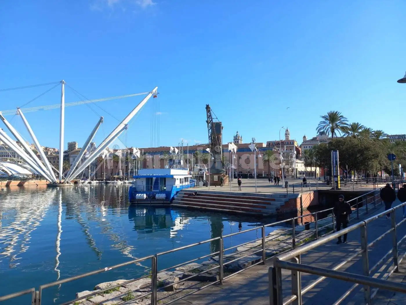 Appartamento in affitto a Genova