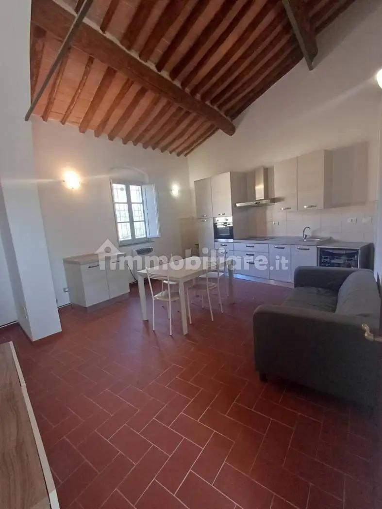 Bilocale ottimo stato, primo piano, San Frediano Nord - San Casciano, Cascina - foto 2