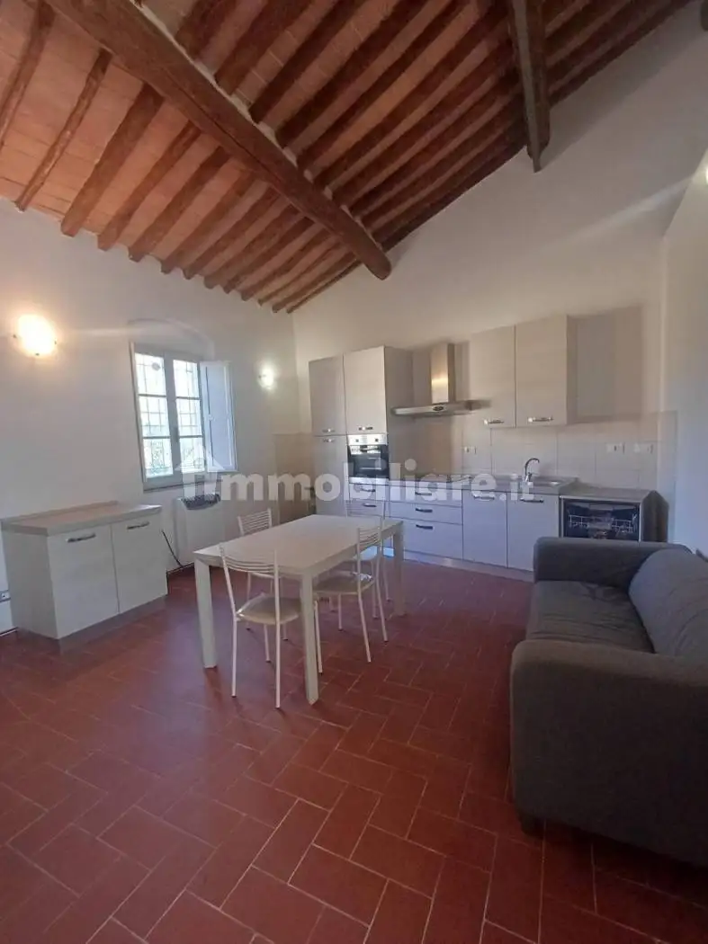 Bilocale ottimo stato, primo piano, San Frediano Nord - San Casciano, Cascina - foto 3