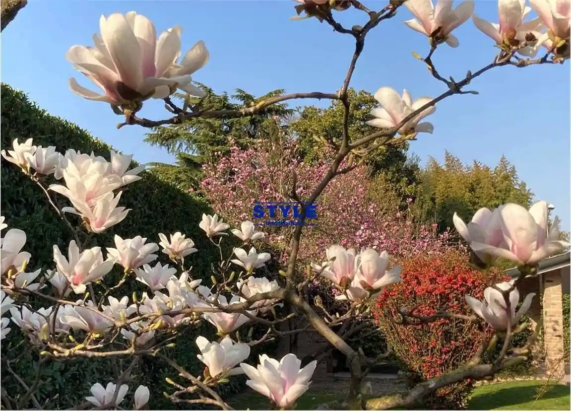 Terratetto unifamiliare 285 m², ottimo stato, Centro, Camponogara - foto 2