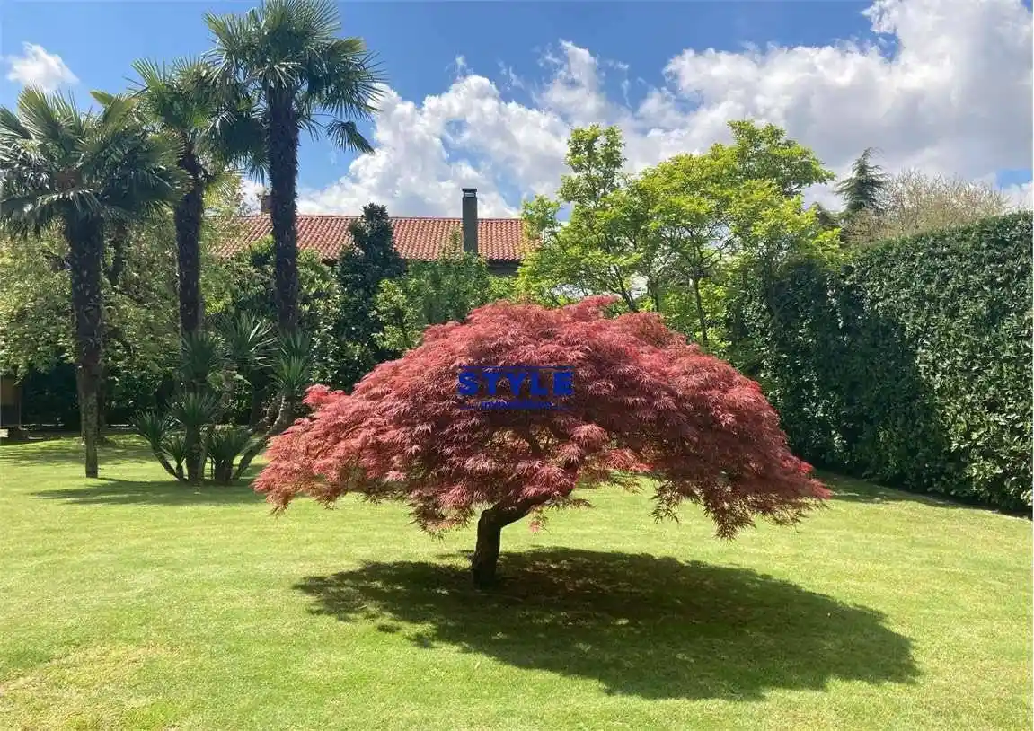 Terratetto unifamiliare 285 m², ottimo stato, Centro, Camponogara - foto 4