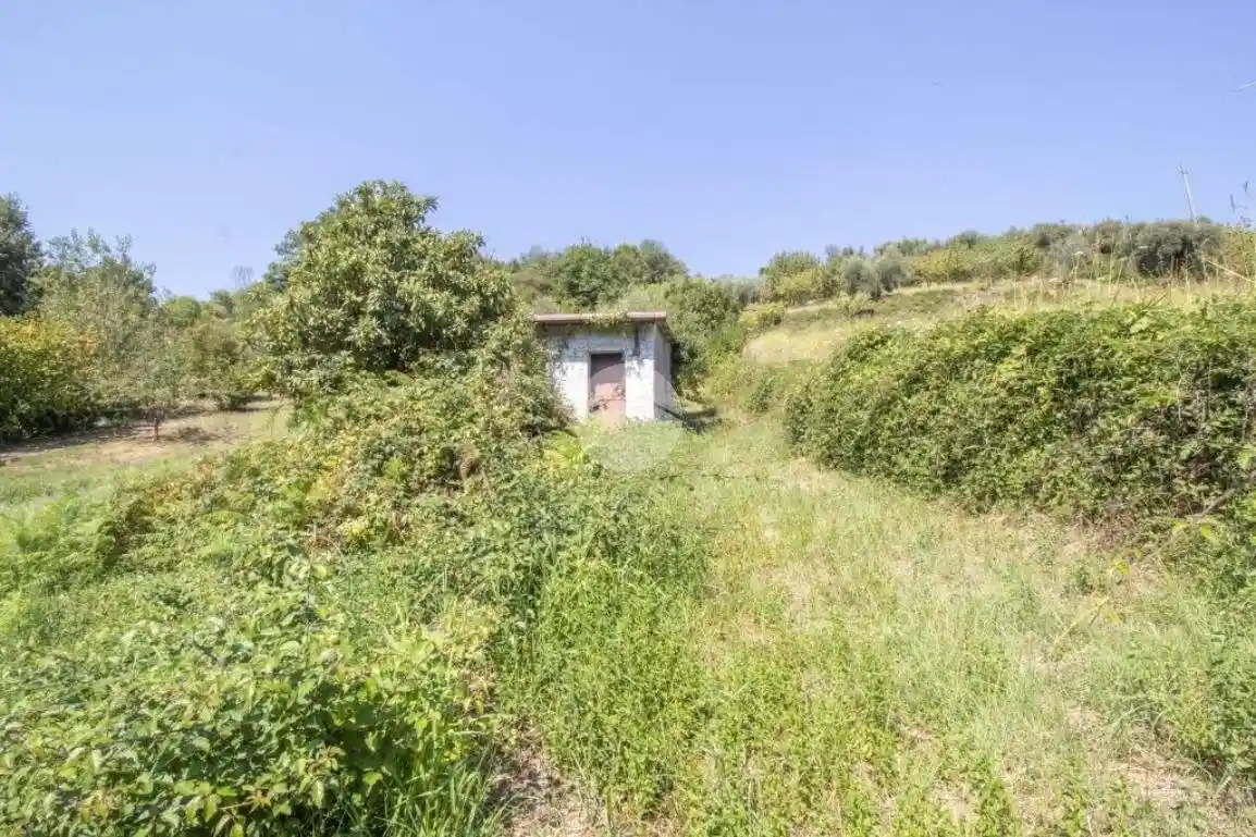 Rustico - Casale in vendita a Palombara Sabina