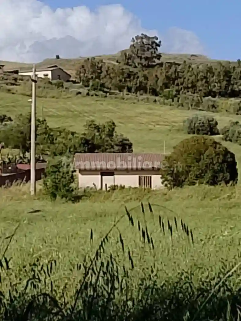 Casa colonica Strada Statale della Valle del Platani, Castronovo di Sicilia - foto 5